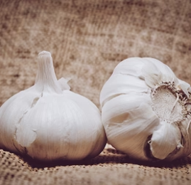 Clove & Garlic Extracts